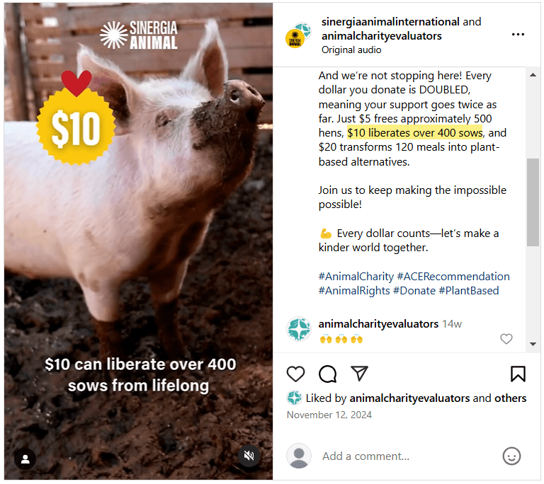 Sinergia Animal Ad 2